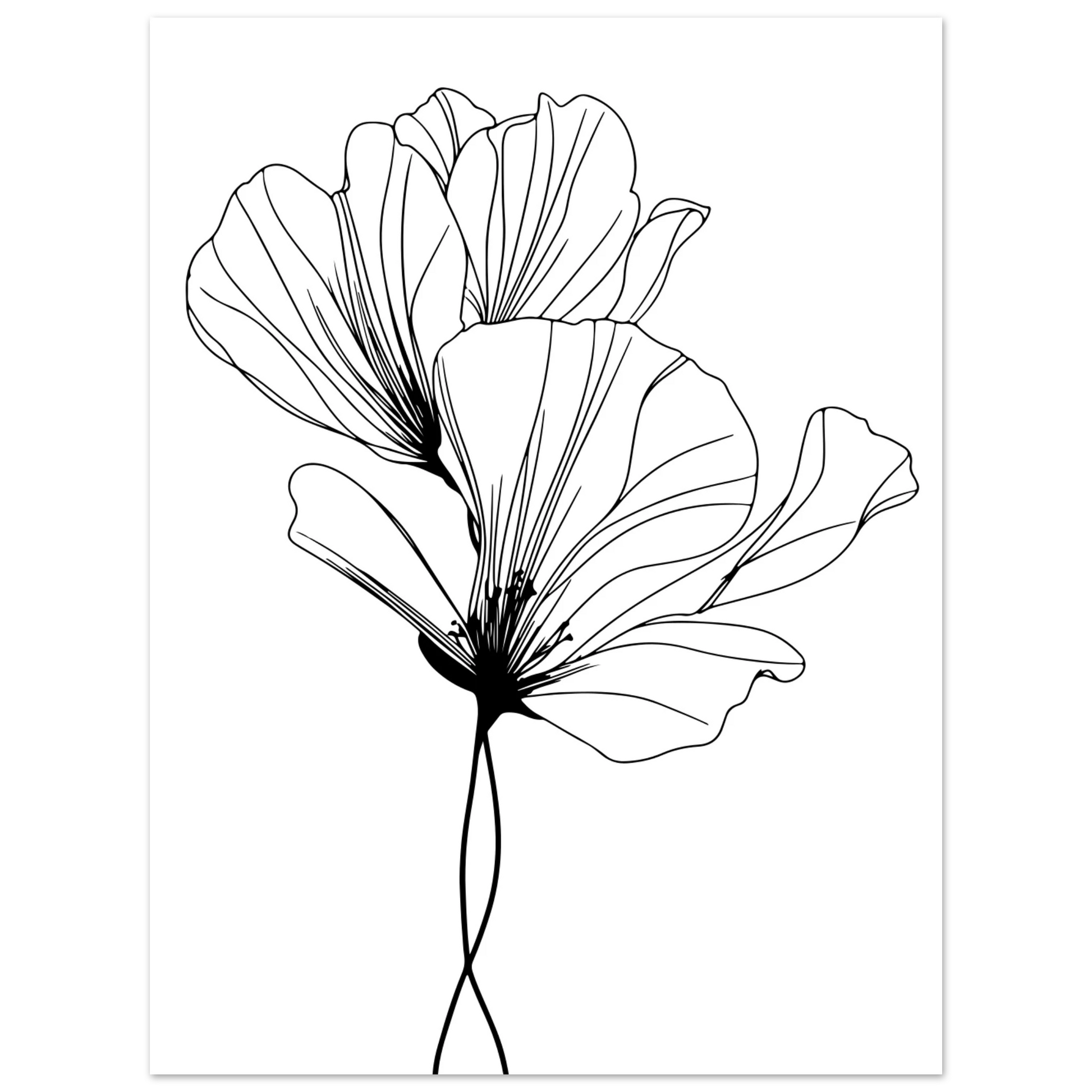 44ddcddc-8e59-4e97-8705-35ea7ba04f5d