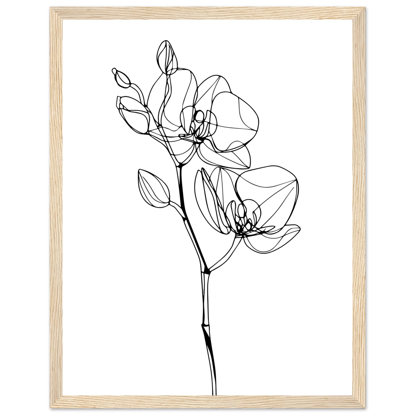 d0642c5f-4b26-413d-8dc3-248f935f5611